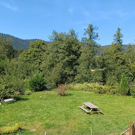 Logement Dans Un Cadre Apaisant A Moussey Dans Les Vosges Exterior photo