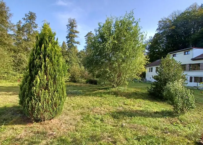 Logement Dans Un Cadre Apaisant A Moussey Dans Les Vosges